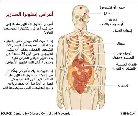 سبل الوقاية من المرض الجديد (انفلونزا الخنازير) ادخل لتتوعى فالمرض خطير %D8%AE%D9%86%D8%B2%D9%8A%D8%B1+1