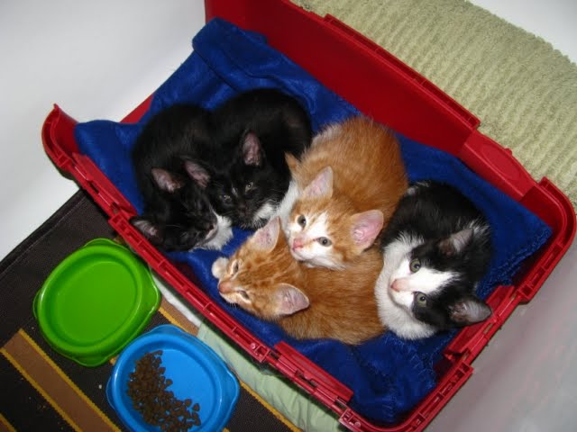 [IMG_0420+[640x480].JPG]