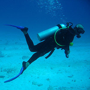 scuba+diving.jpg