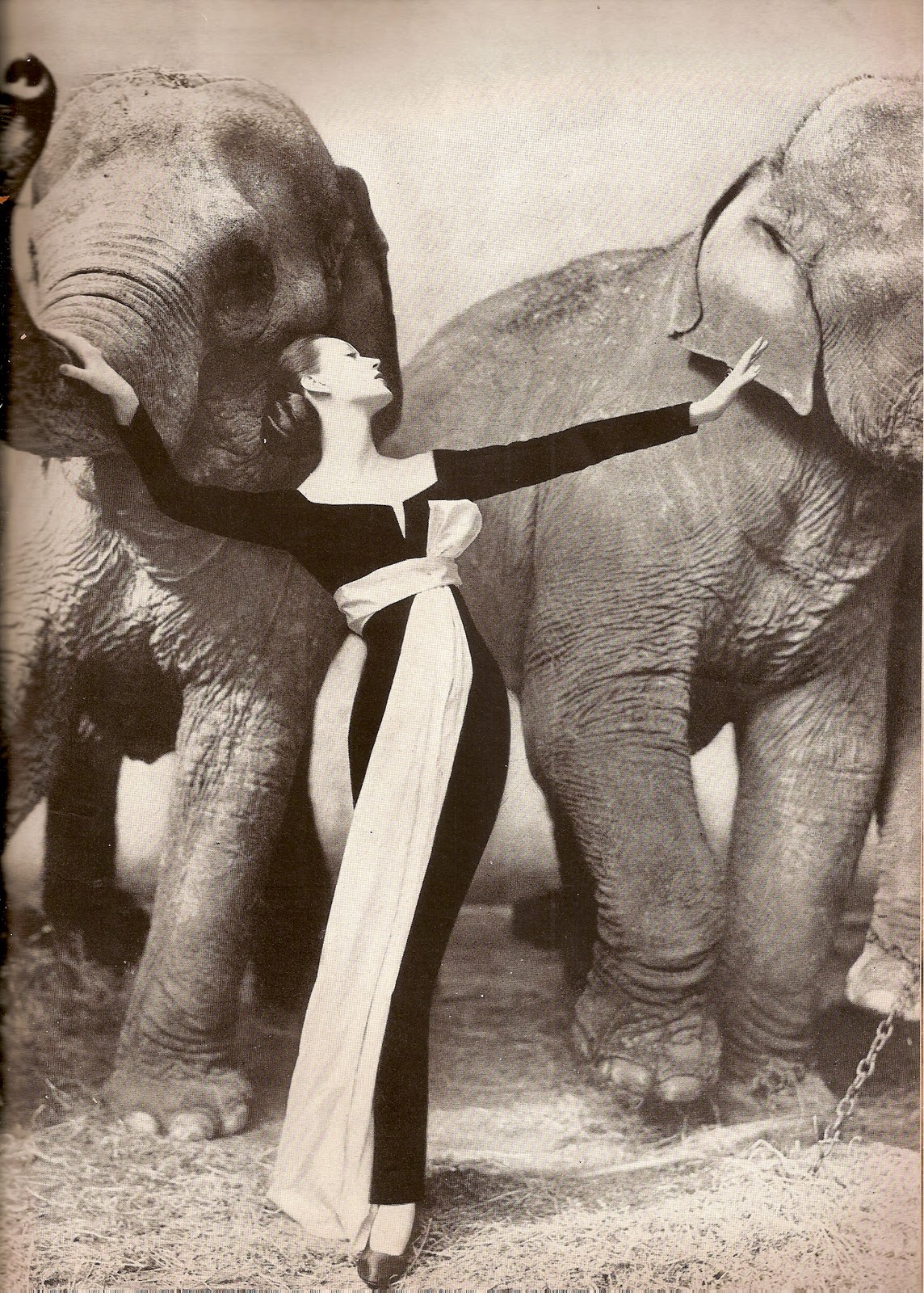 Marjorie Monaghan,Tilly Losch Sex pics Evie Peck,Joan Iyiola Ayumi Oka,Meg Thalken Hot clips John Qualen,Pamela Bellwood