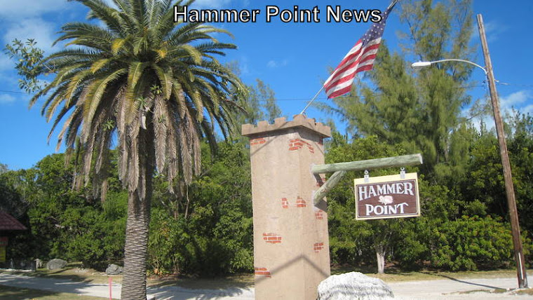 Hammer Point News