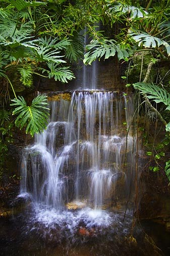 Words... super southeast asian rain forest 3012 all Please southeast asian rain forest 3012 not