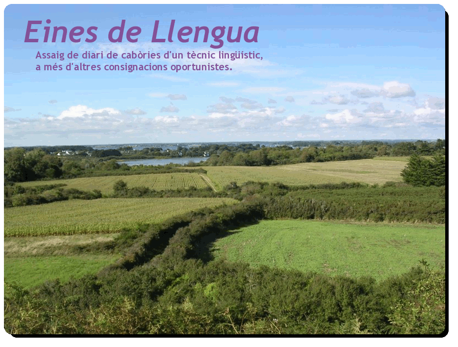 Eines de Llengua