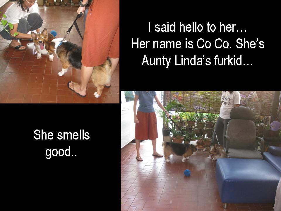[Slide7.JPG]
