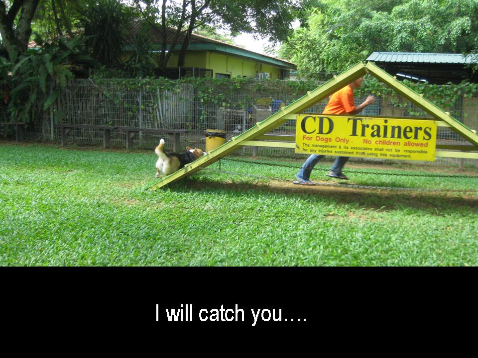 [Slide33.JPG]