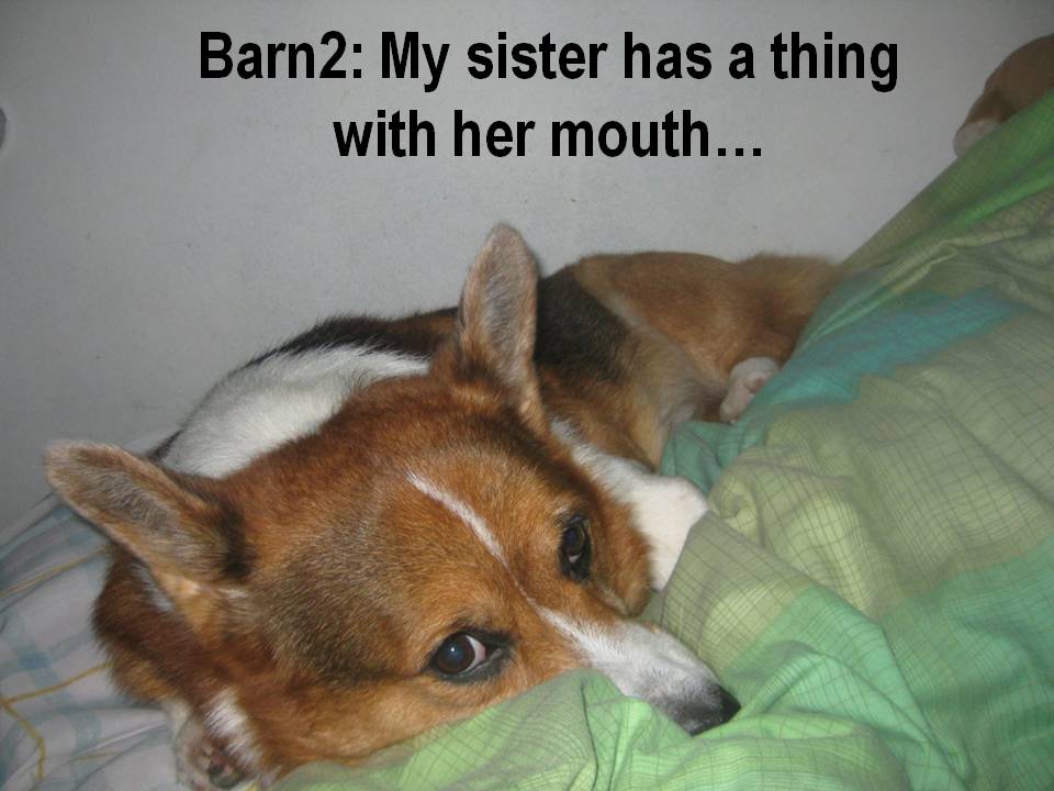 [Slide7.JPG]