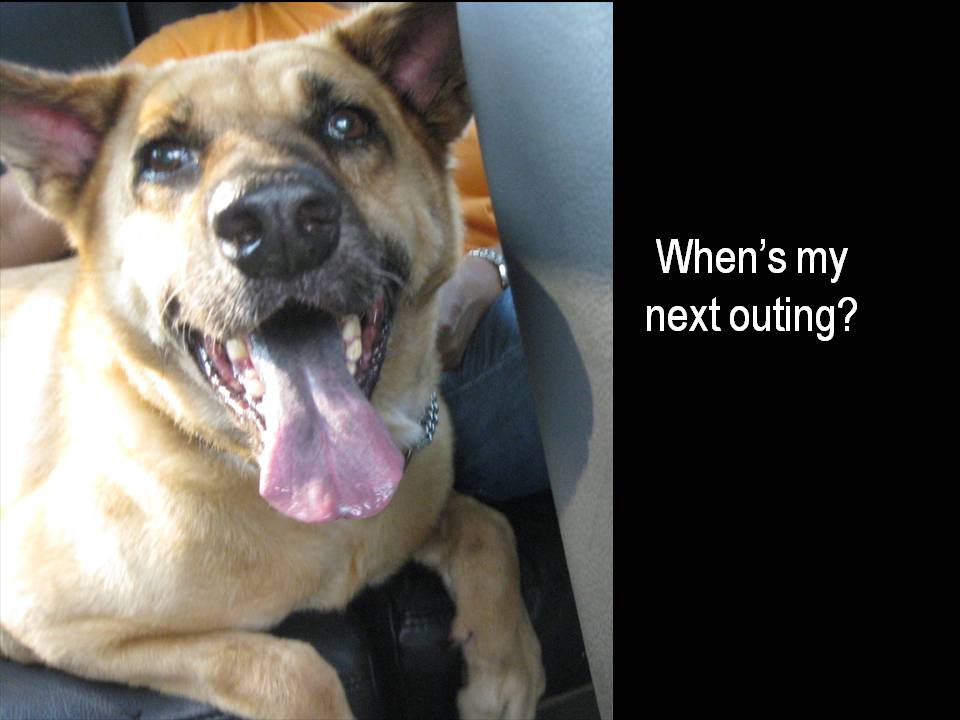[Slide14.JPG]