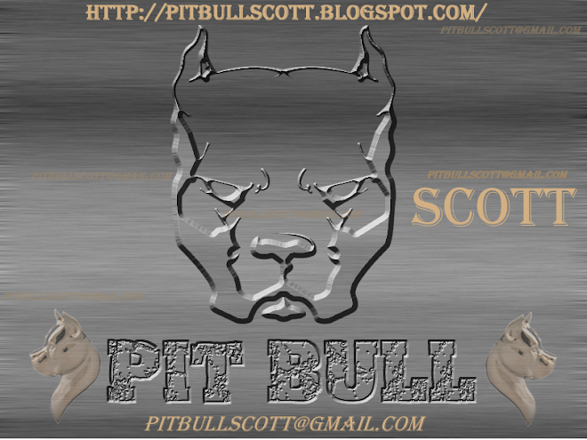 http://pitbullscott.blogspot.com/