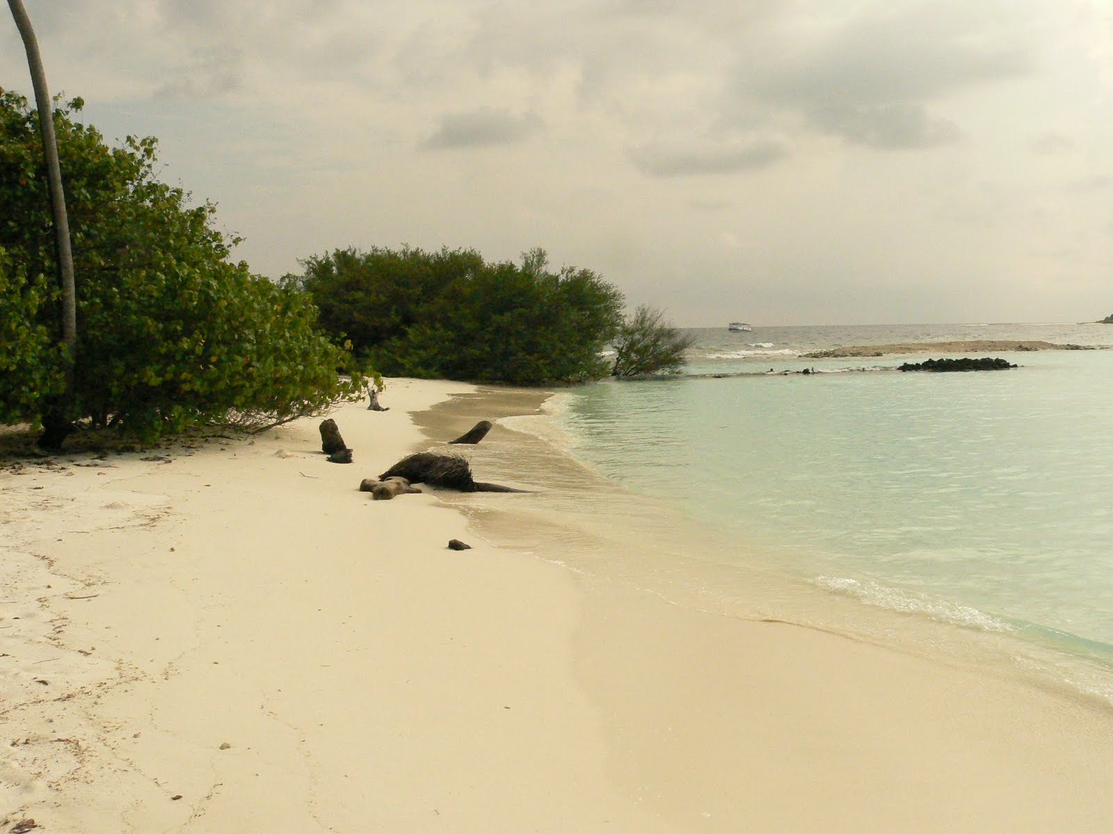 [Maldivas+189.jpg]