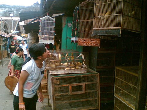 [pasar+ngasem.jpg]