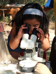 LA LUPA BINOCULAR