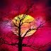 Beautiful Sky Wallpapers thumbnail