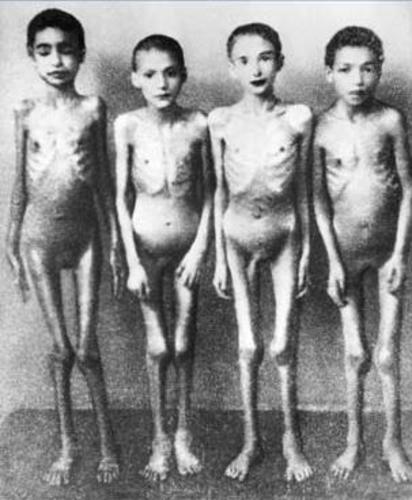 [mengele+2.jpg]
