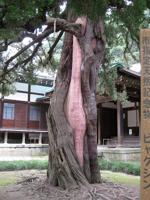 it's like she's on a secret mission: July 2010