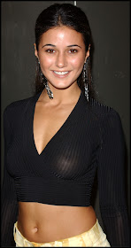 Emmanuelle chriqui hot