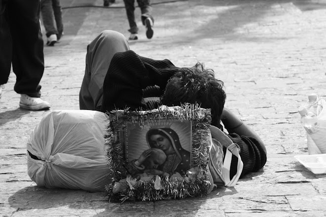 Dia de la Guadalupana