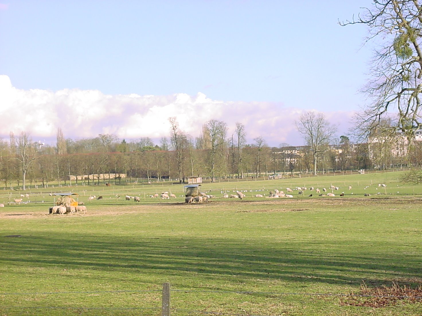 [DSC00098.JPG]