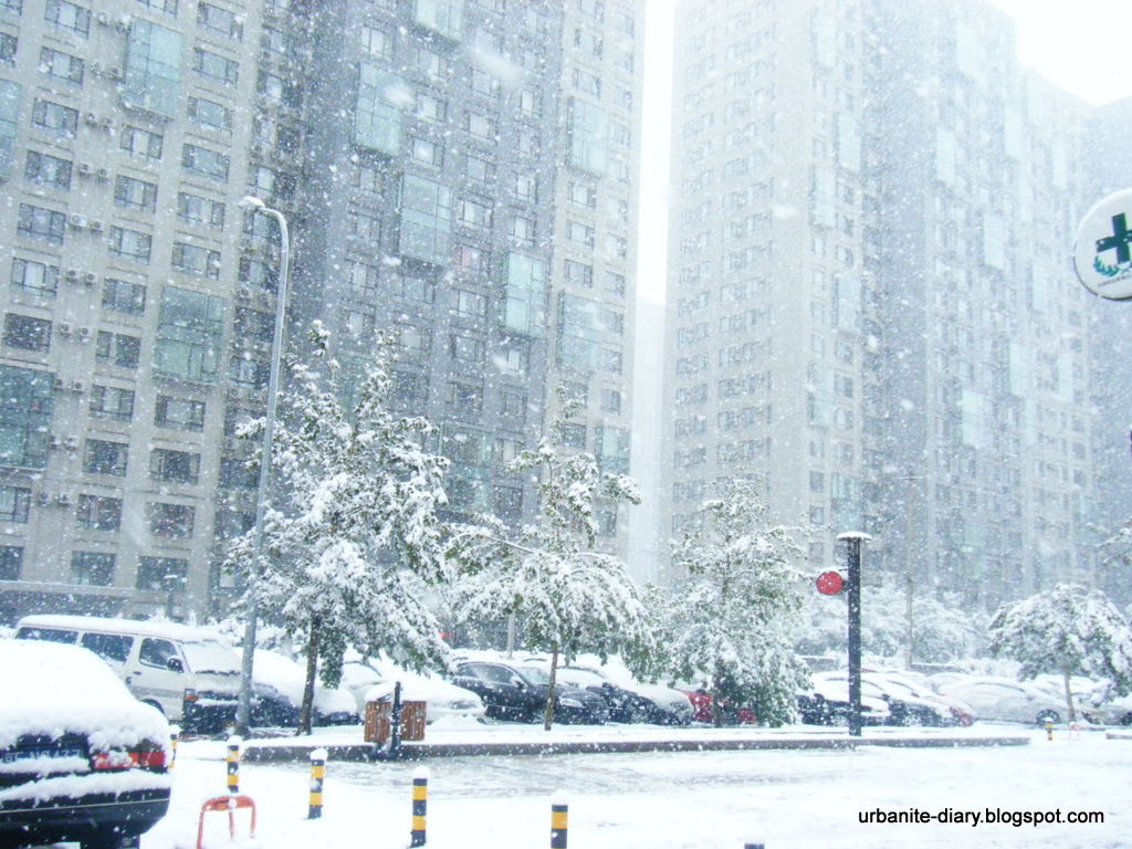[Snow+in+Beijing+4.JPG]
