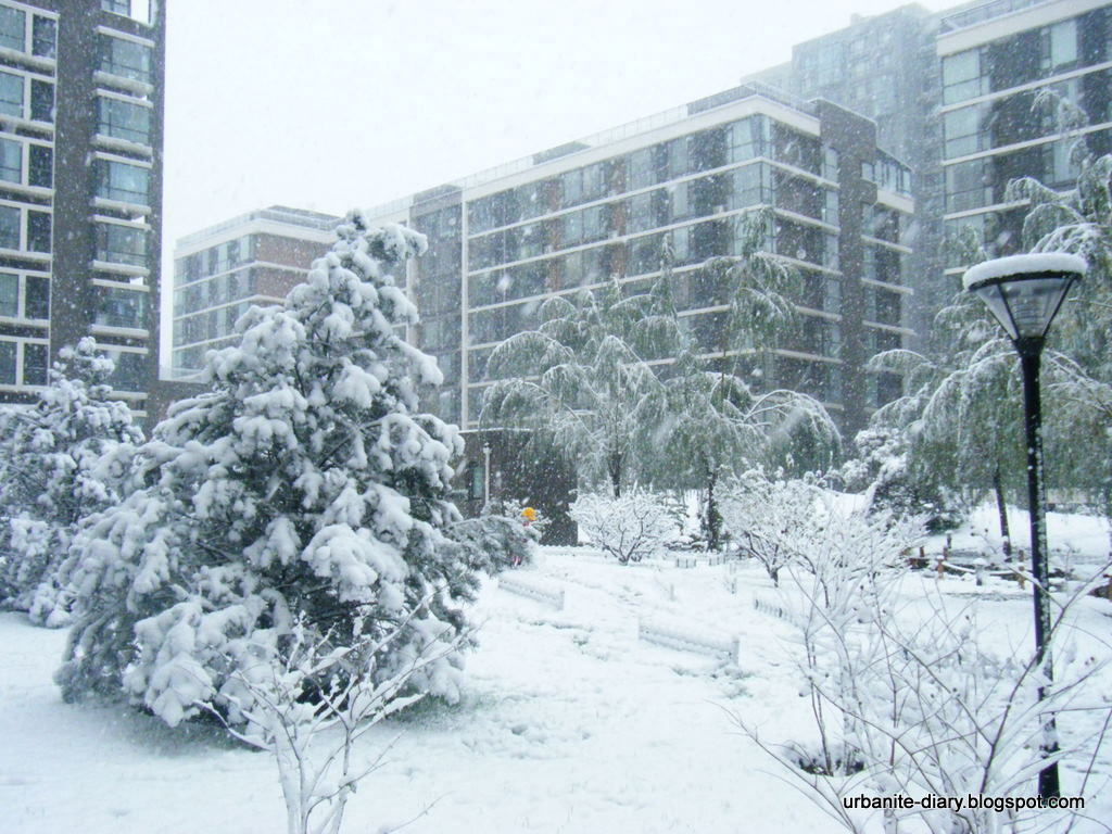 [Snow+in+Beijing+3.JPG]