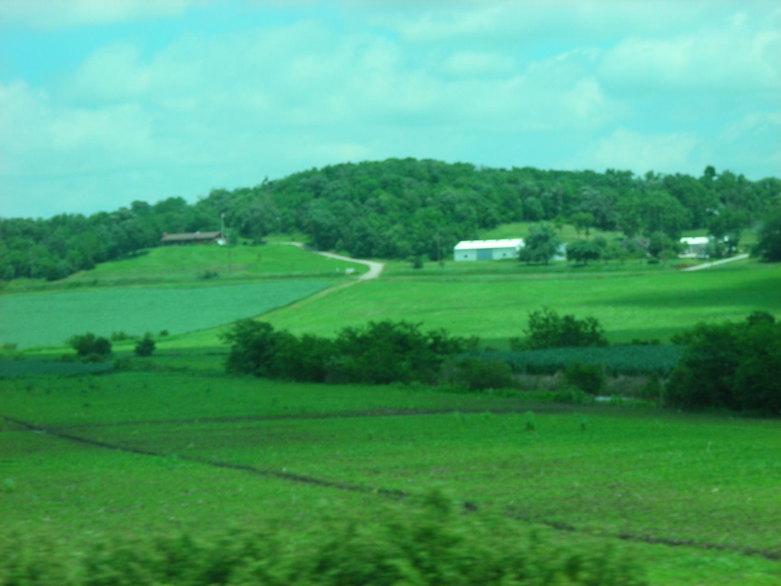 [DSCN2168.JPG]