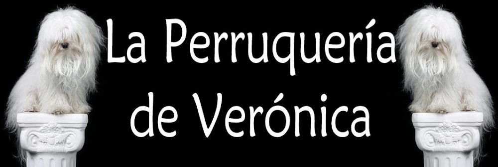 LA PERRUQUERIA DE VERONICA