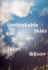 Unthinkable Skies