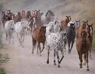 Caballos en libertad