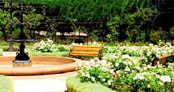 Parque Araucano
