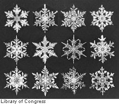 Snowflakes