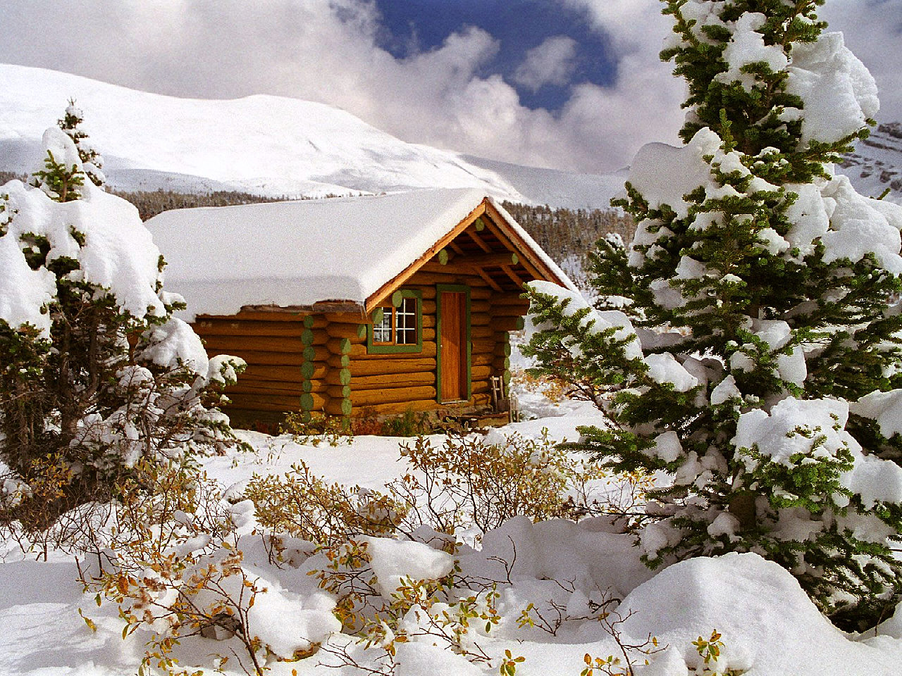 http://2.bp.blogspot.com/_FYnCj-e7zkY/TLGvX4WkFhI/AAAAAAAAAIo/jQK9JaKP7EU/s1600/ACD+Wallpaper.jpg
