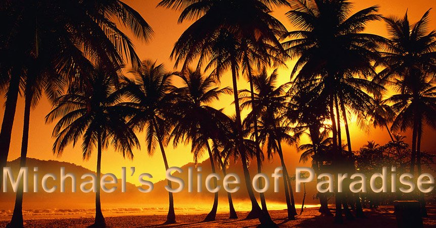 Michael's Slice of Paradise