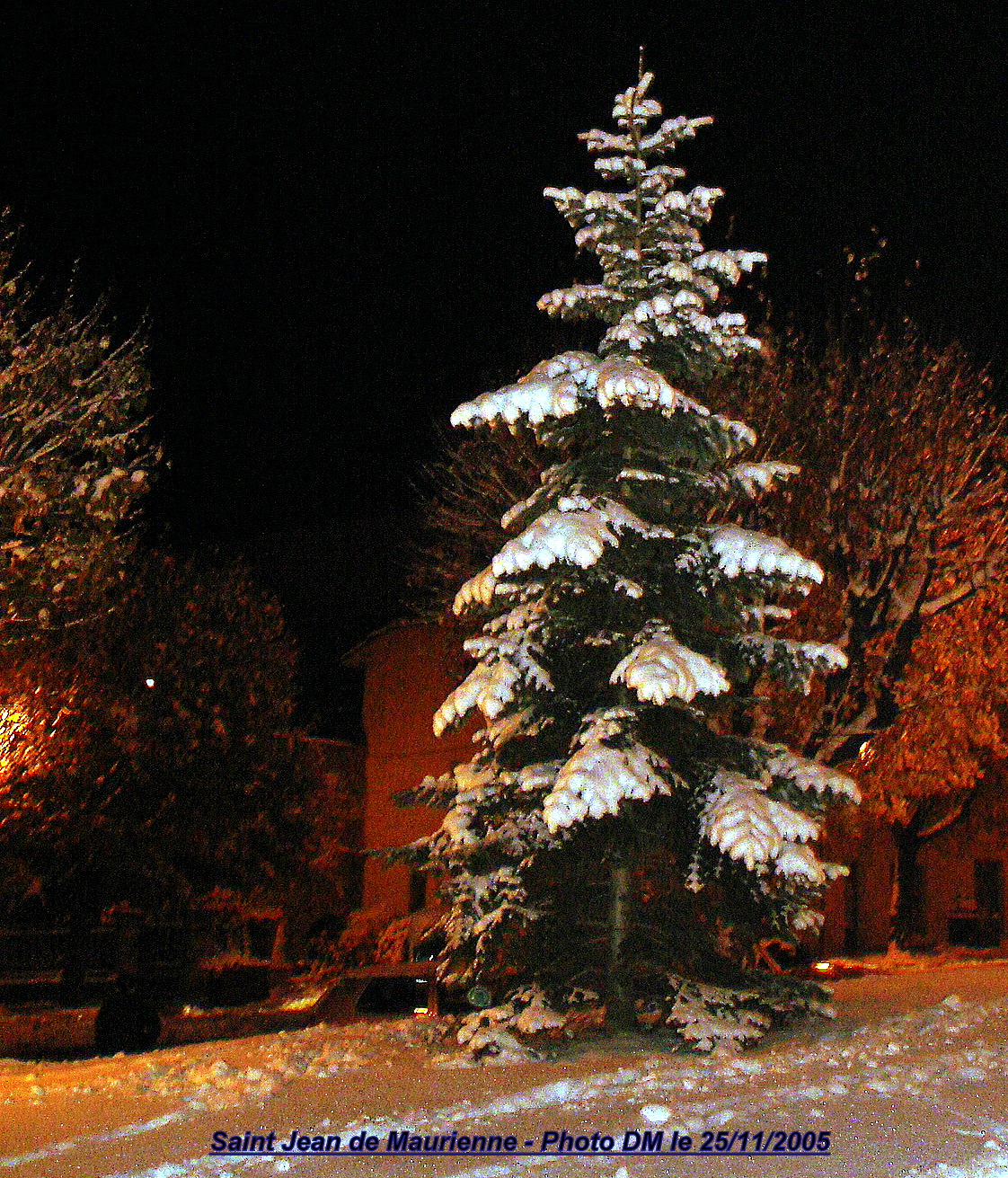 LES POESIES ELECTIVES LES SAPINS par Guillaume APOLLINAIRE