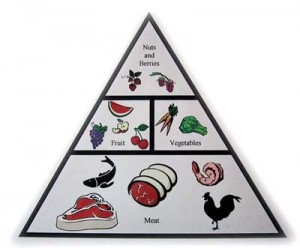 [zone-paleo-food-pyramid.jpg]