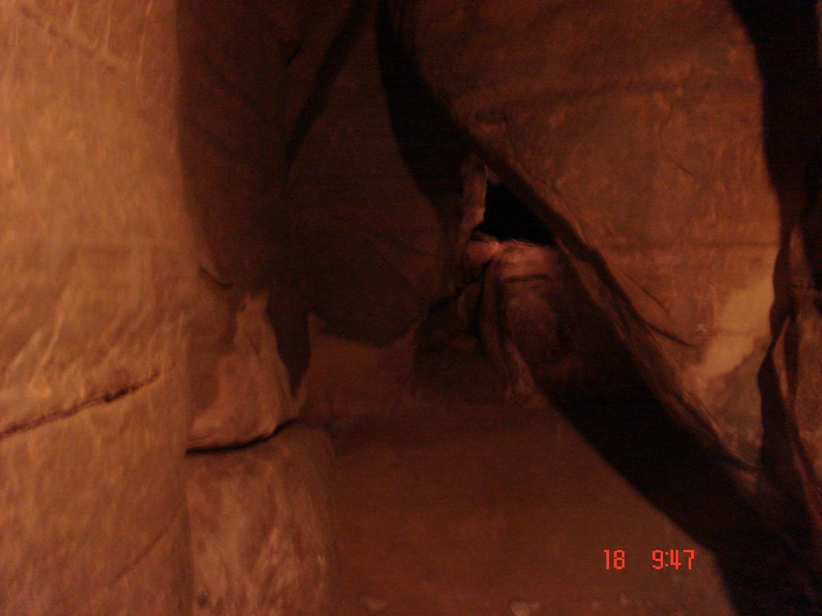 [DSC01052.JPG]