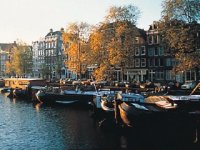 [amsterdao.jpg]