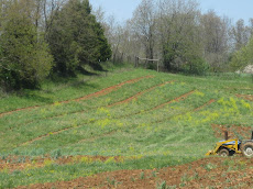 New Hops Plot