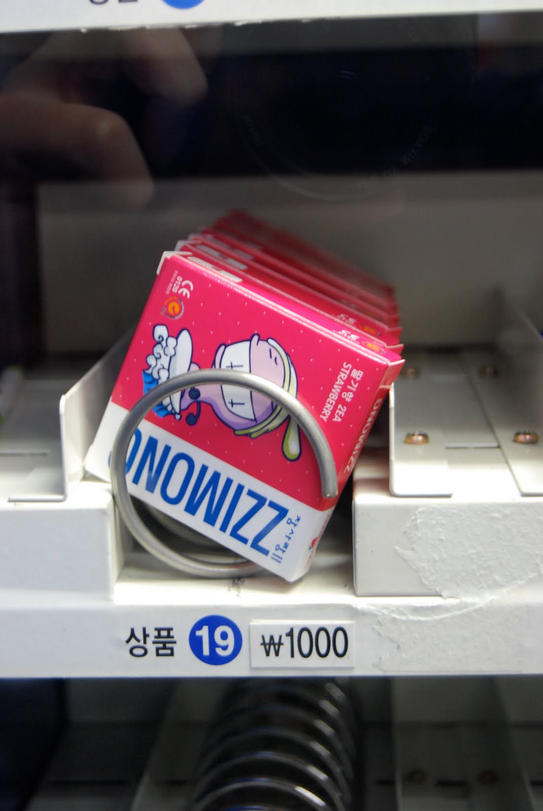 [DSC_0016.JPG]