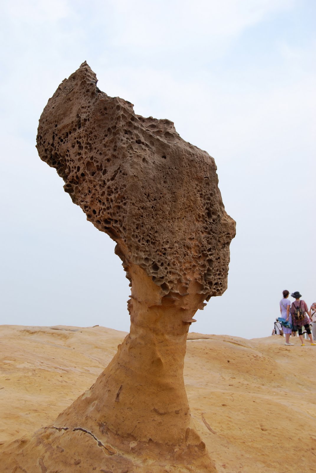 [DSC_0055_2.JPG]