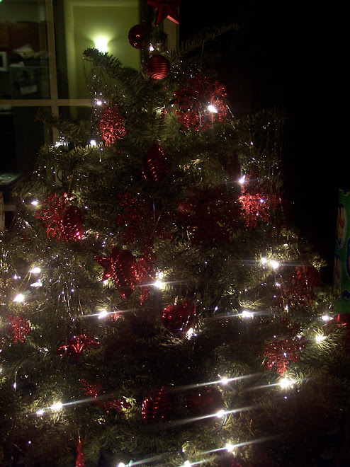 pomul nostru de Craciun unser Weihnachtsbaum