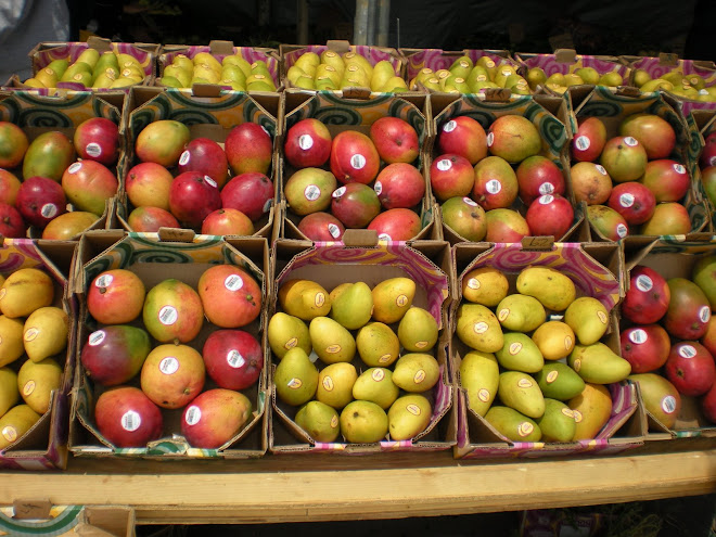 fructe din abundenta