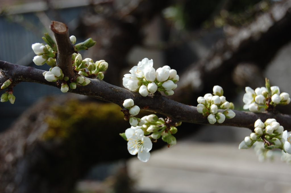 [DSC_0611.jpg]