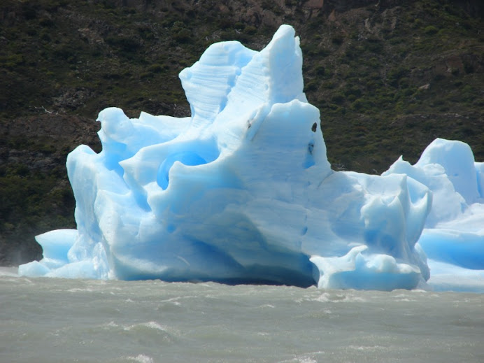 Témpano  del Glaciar Grey
