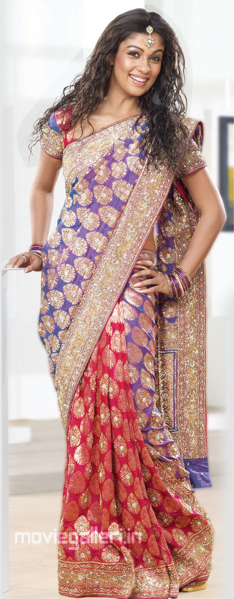 Nayanthara+photos+in+sarees