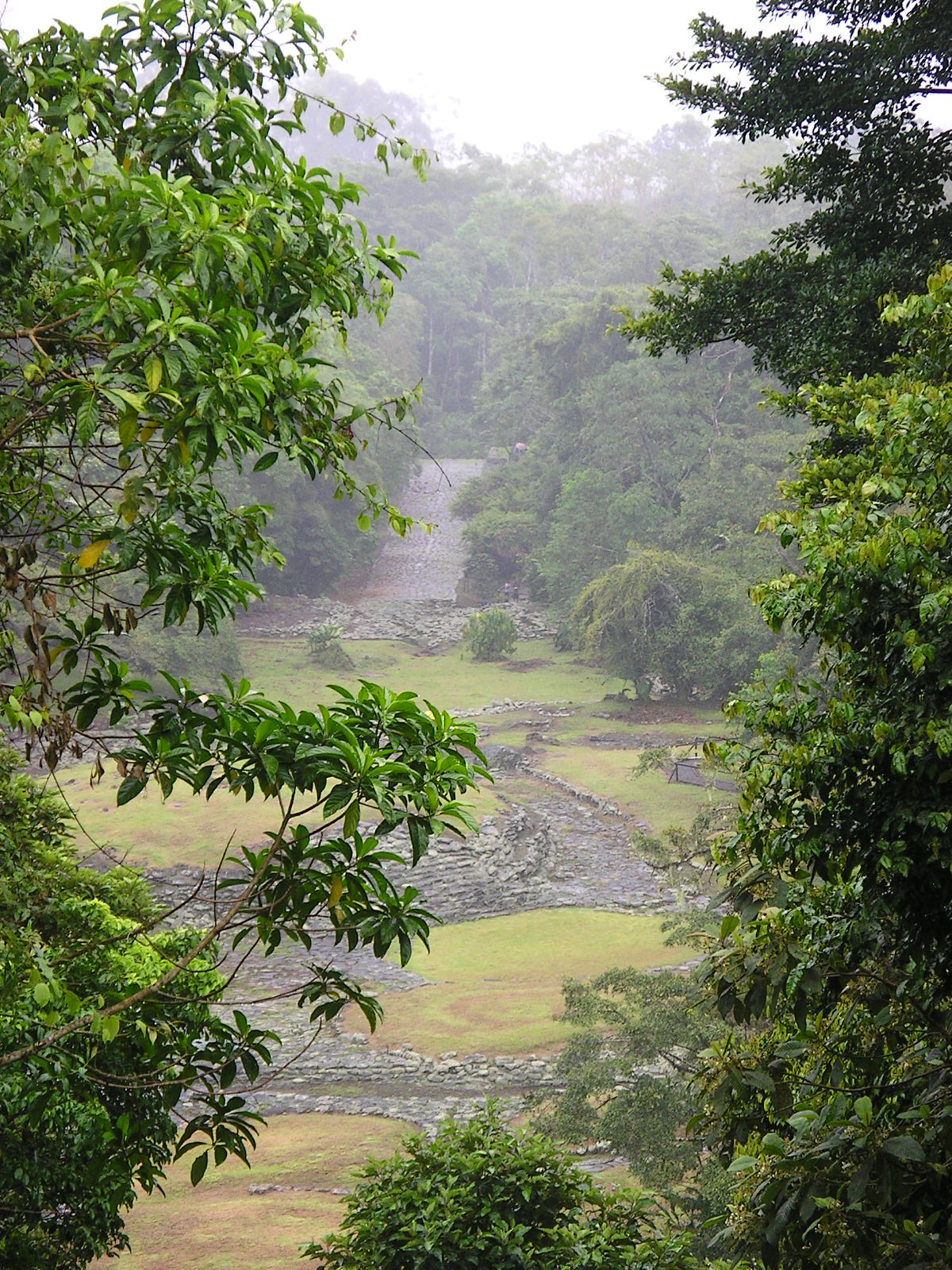 [Guayabo+2.JPG]