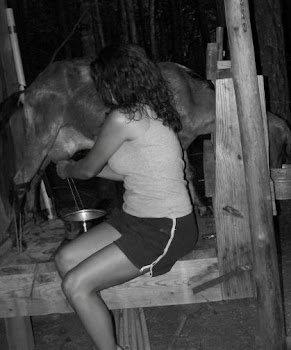 Goat Milking