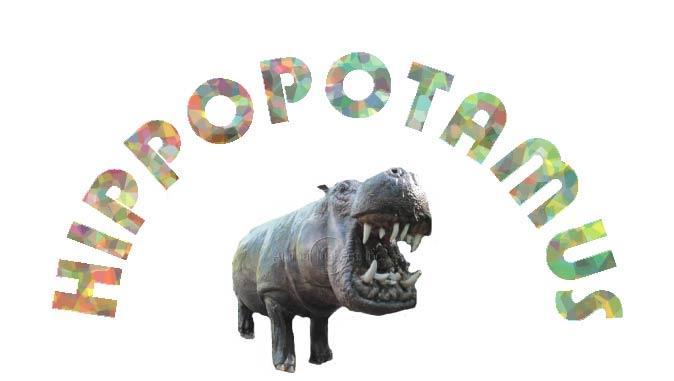 hippopotamus