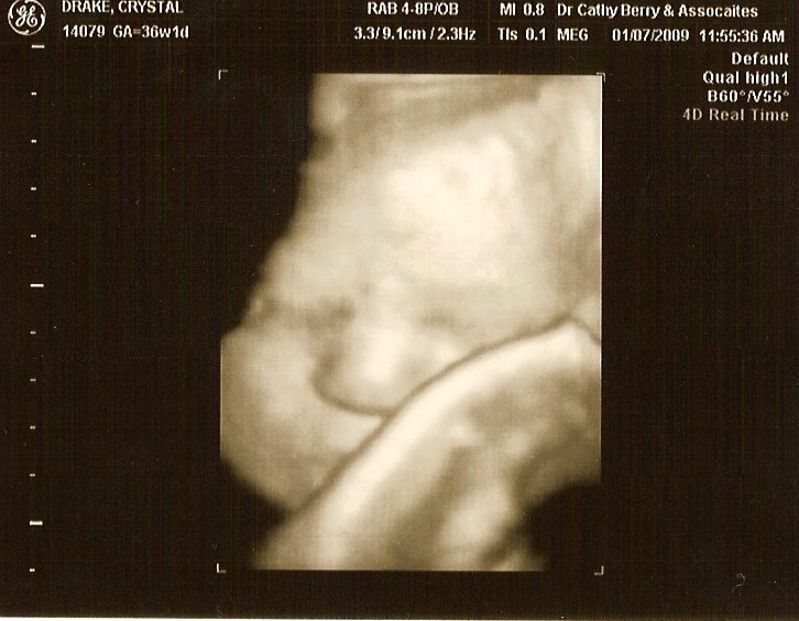 [scan.jpg]