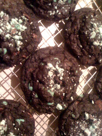 Dark Chocolate Mint Chip Cookies