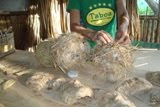 Luminarias e Mascaras