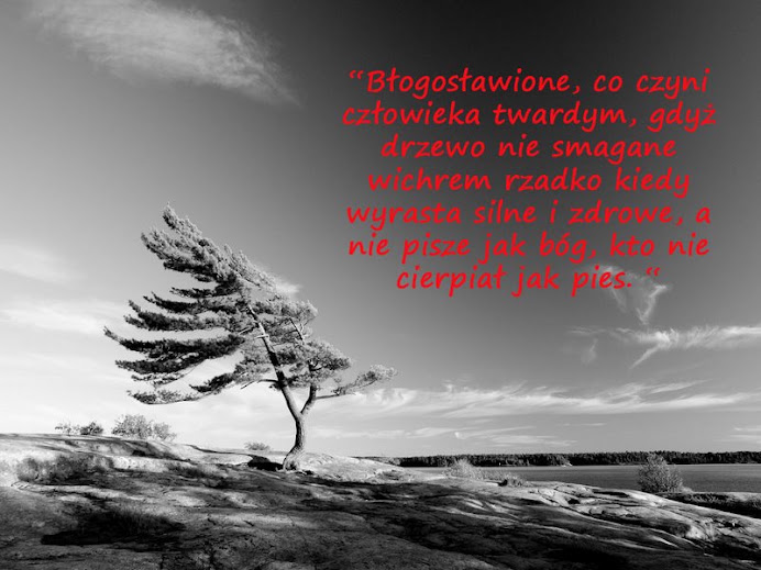Pamietnik DDA